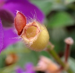 P3300823a